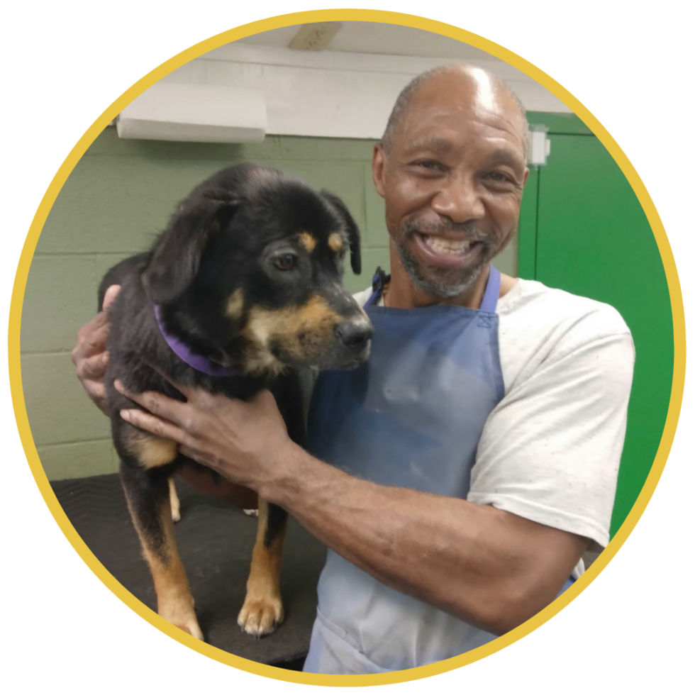 Best Vet Hospital In Galax, VA Galax Veterinary Clinic