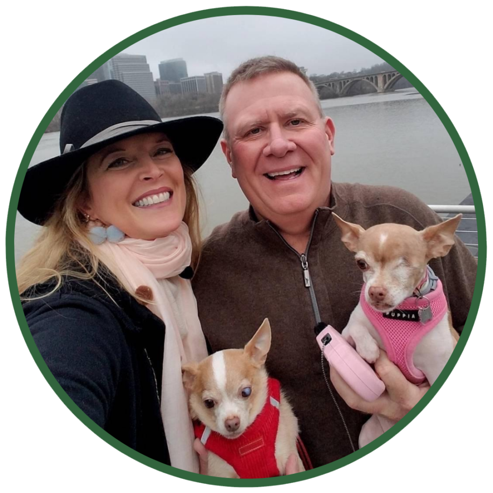 Best Vet Hospital In Galax, VA Galax Veterinary Clinic