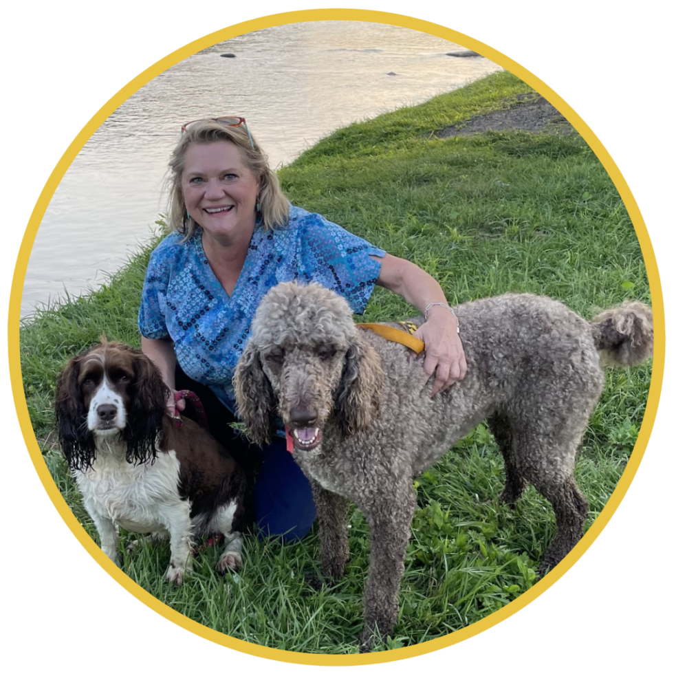 Best Vet Hospital In Galax, VA Galax Veterinary Clinic